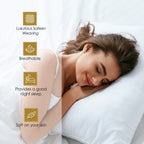 Superior Egyptian Cotton 1000 Thread Count Deep Pocket Solid Sheet Set