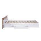 Queen Size Platform Bed with Headboard, Drawers, Shelves, USB Ports and Sockets