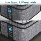 Modland 14 Inch Medium Hybrid Mattress, Euro Top - Fire-Safe CertiPUR-US Foams for Back Pain Relief, Twin/Full/Queen/King