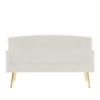 55.5 Velvet 2-Seater Sofa with 2 Pillows, Contemporary Design, and Easy Assembly