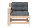 Garden sofa with armrest and cushion, solid pine wood