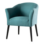 Carson Carrington Augustenborg Fabric Arm Chair by Christopher Knight Home