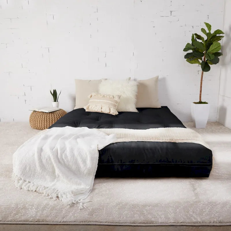 TruPedic Queen-size 10-inch Futon Mattress (Mattress Only)