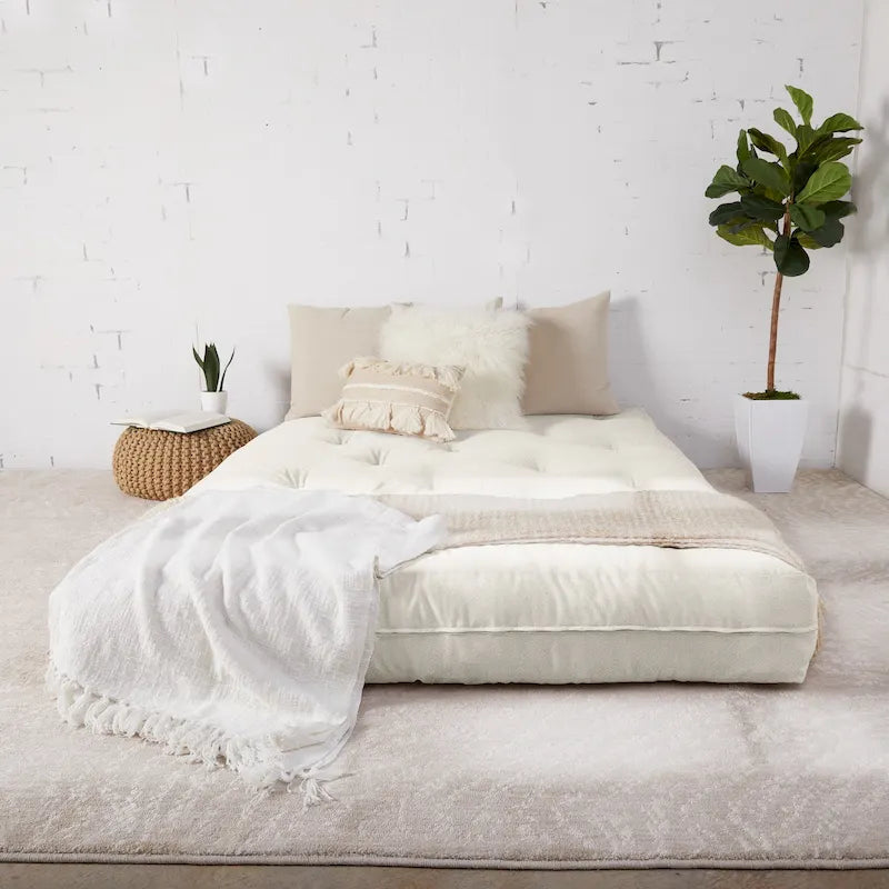 TruPedic Queen-size 10-inch Futon Mattress (Mattress Only)