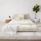 TruPedic Queen-size 10-inch Futon Mattress (Mattress Only)