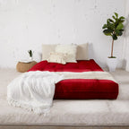 TruPedic Queen-size 10-inch Futon Mattress (Mattress Only)