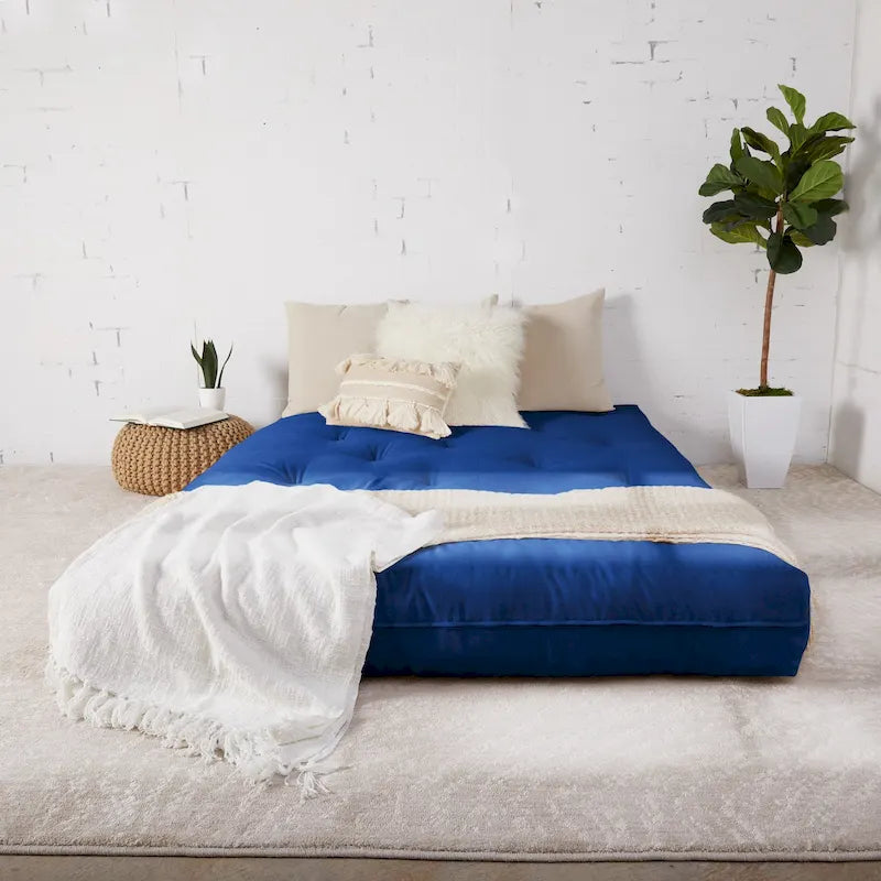 TruPedic Queen-size 10-inch Futon Mattress (Mattress Only)