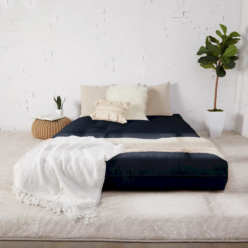 TruPedic Queen-size 10-inch Futon Mattress (Mattress Only)