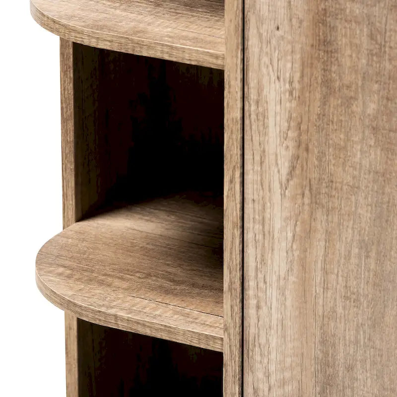Wales Modern and Contemporary Rustic 2-Door Shoe Storage Cabinet