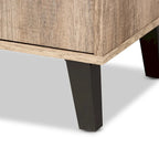Wales Modern and Contemporary Rustic 2-Door Shoe Storage Cabinet