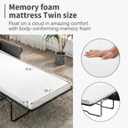 Merax Pull Out Sofa Bed Loveseat Sleeper with Twin Size Memory Mattress