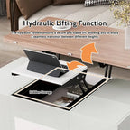 Merax Modern Lift Top Coffee Table Multifunctional Table