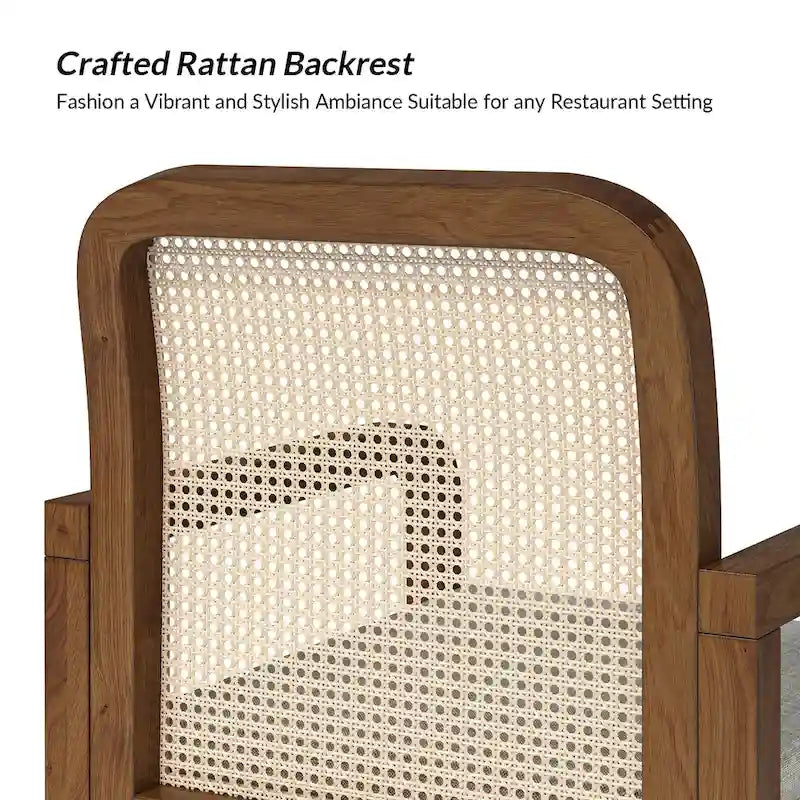 Antoine Modern Ratten Back Dining Chair with Removable Cushion Set of 6 by HULALA HOME