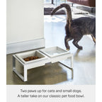 Yamazaki Home Pet Food Bowl - Two Styles, Steel and Ceramic, Tall, 1.25 cups, 300 milliliters per bowl