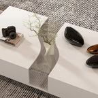 Function & Elegance: Modern LED-Lit Coffee Table with Glass Top