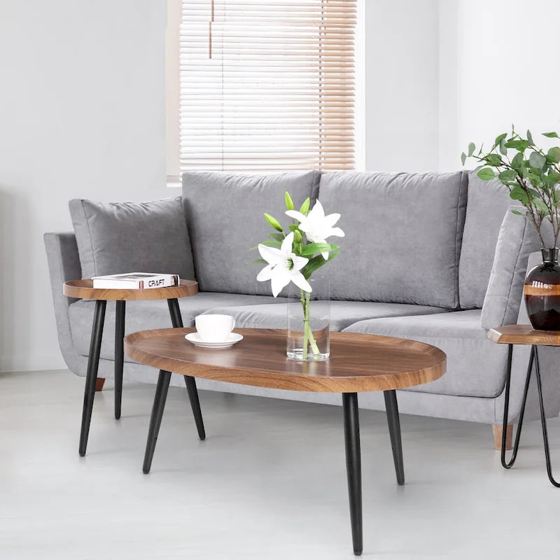 Set of 2 Modern Coffee Accent Table Home Storage Display Table