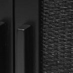 Hopper Studio Delancey Black 2-Door Cabinet
