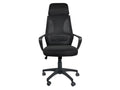 Ergonomic office chair with tilting seat, adjustable headrest, and lumbar support, FAMA black