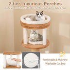Costway 65 Tall Cat Tree for Indoor with Self-groomer Padded Perch - See Details