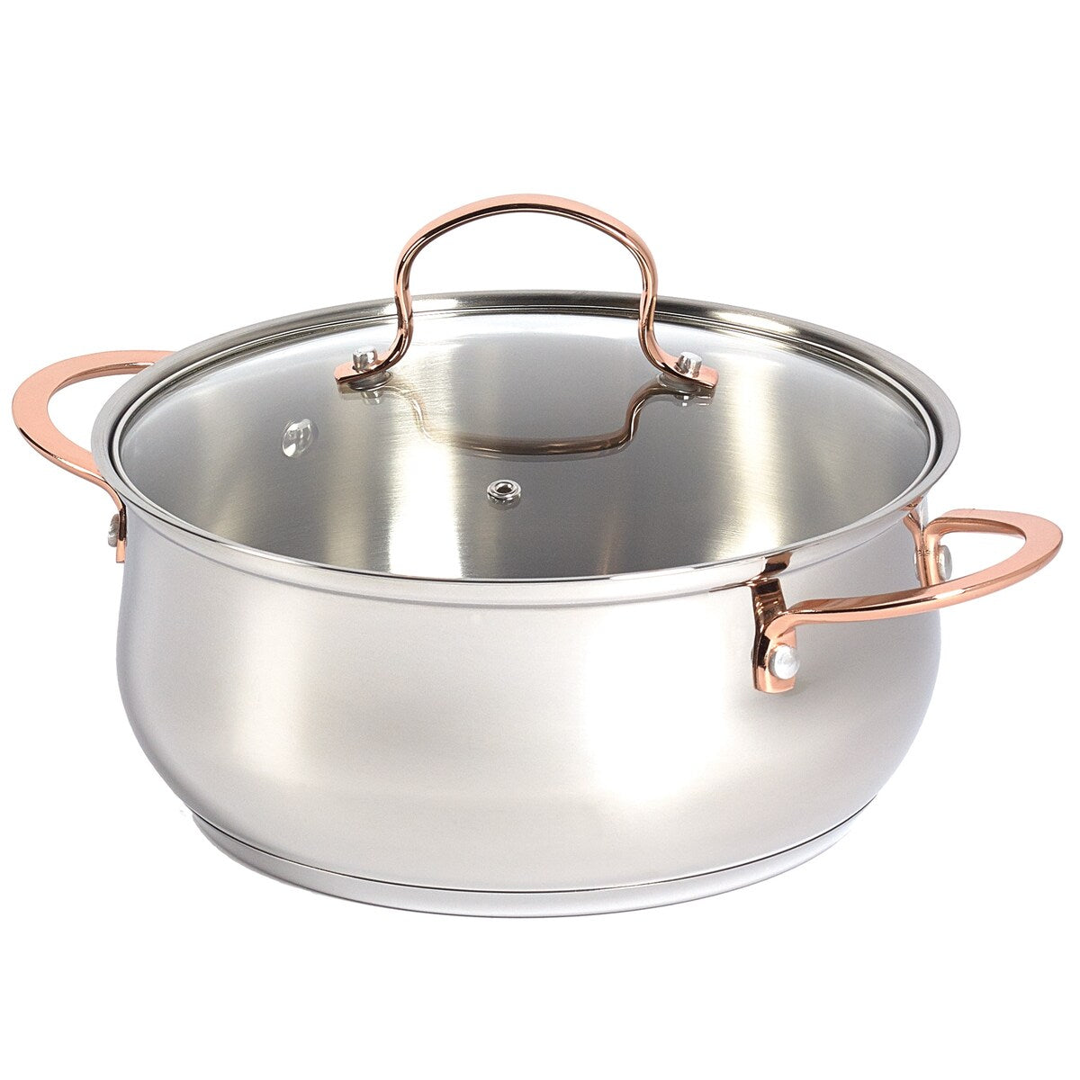 Denmark 10PC Stainless Steel Cookware Set