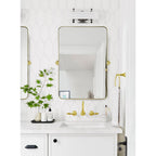 TEHOME Jonathan Rectangle Pivot Tilt Metal Wall Mirror
