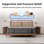 Modland 14-inch Hybrid Medium Euro Top Mattress, Pocket Spring Mattress in a Box