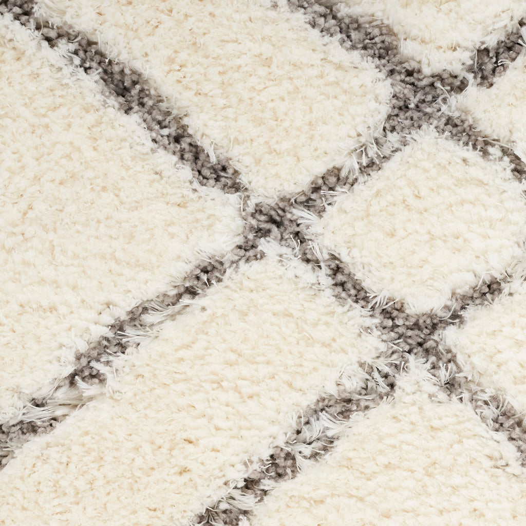 Nourison Luxurious Shag Ultra Plush Pile Abstract Geometric Area Rug