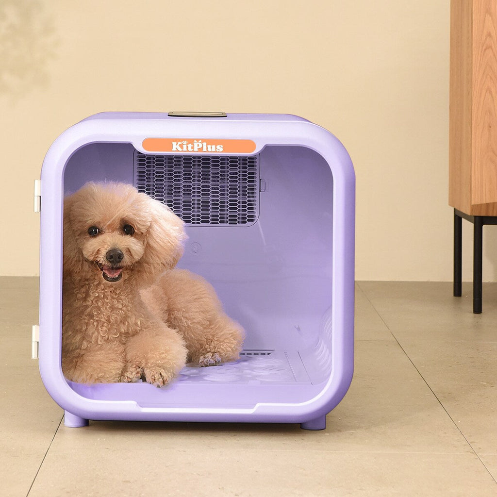 Pet Hair Dryer Box Ultra Quiet 6L Capacity for Cats and Small Dogs