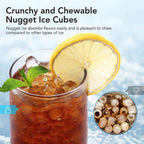 Portable Ice Maker