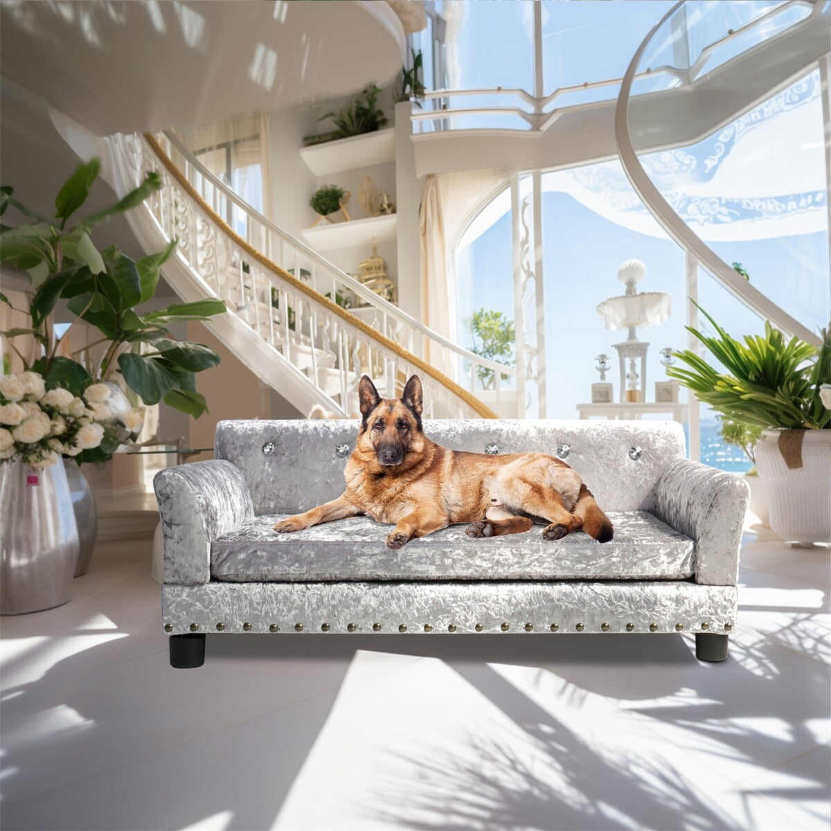 Velvet Tufted Couch Pet Bed Upholstered with Removable Cushion