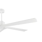 WINGBO 54 Inch DC Motor Indoor Ceiling Fan without Lights - N/A