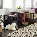 Wooden Pet Crate End Table with Lockable Door